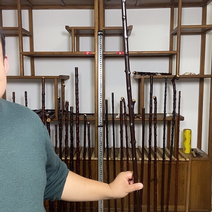 好***y木北对节雀梅棍100