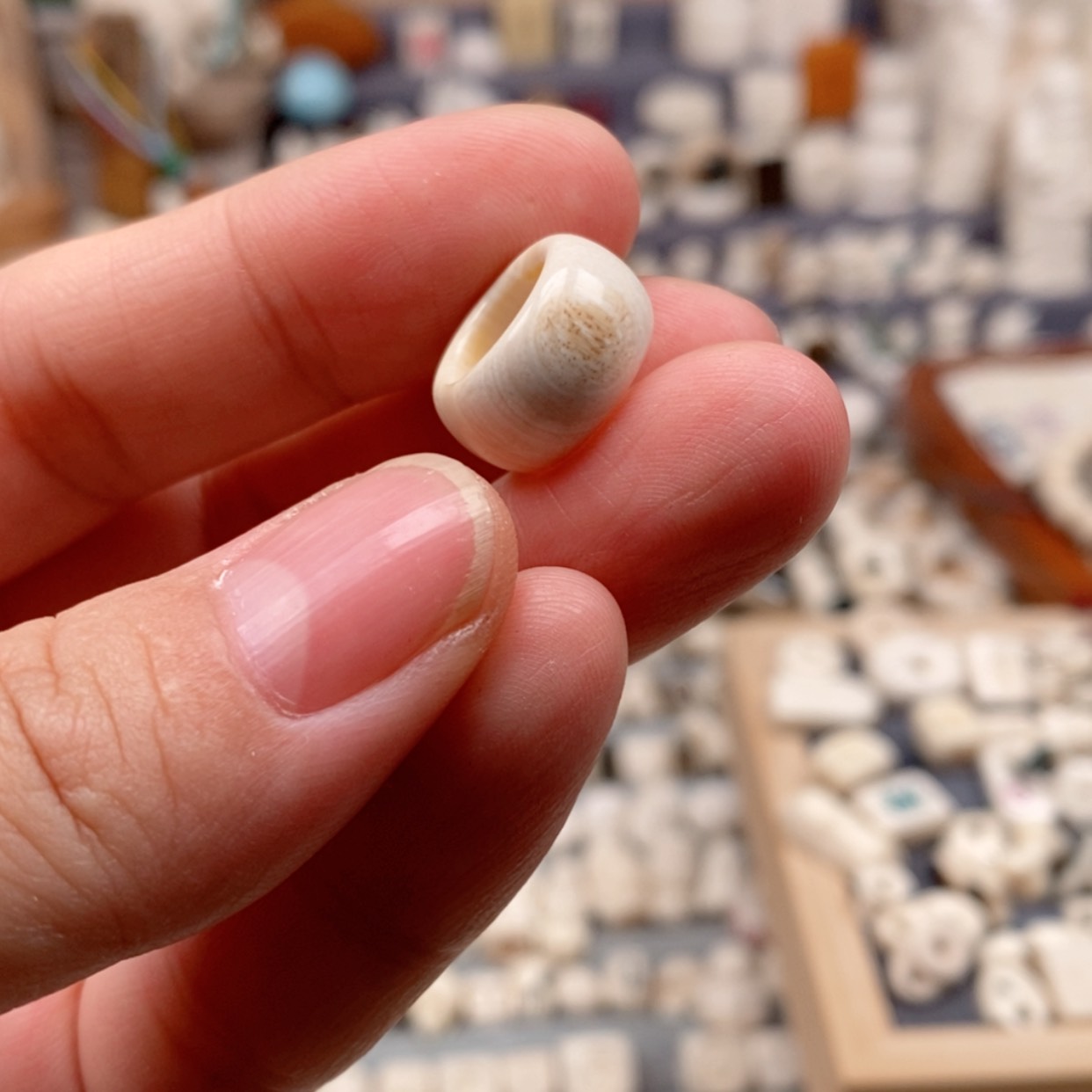 【闪购商品】无非金属猛犸牙内口8.9