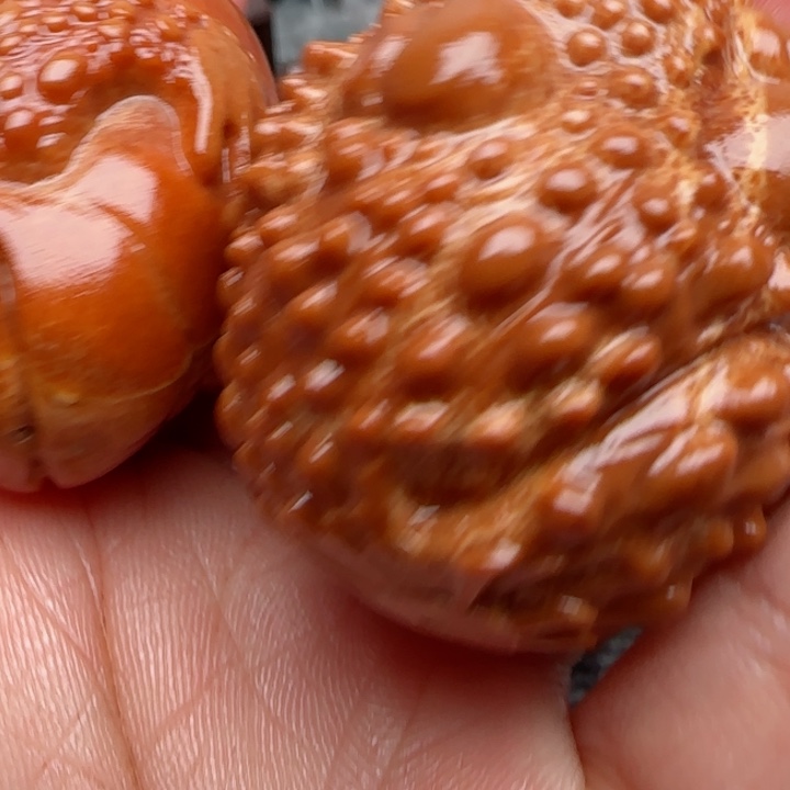 橄榄核吊坠橄榄菜等经济作物的