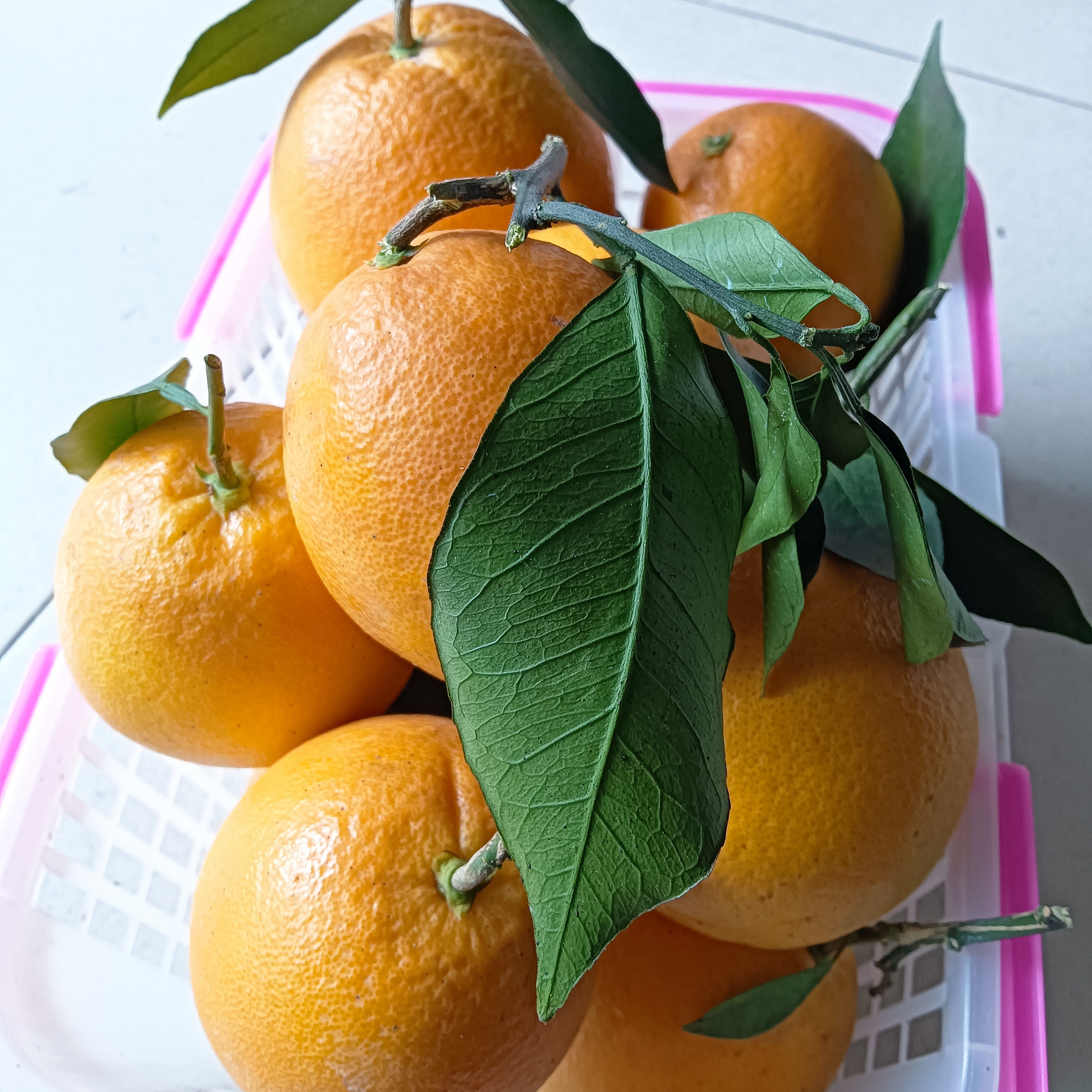 正宗赣南脐橙新鲜现摘皮薄多汁香甜可口