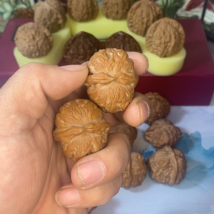 全品无修山地果元宝