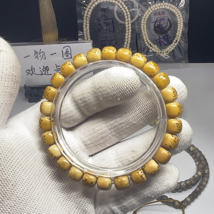 星月菩提手串海南原生态河豚单圈