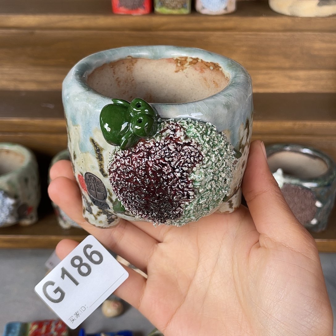 坛子姐花盆小白孤品 立体大羊 不规则 内口7