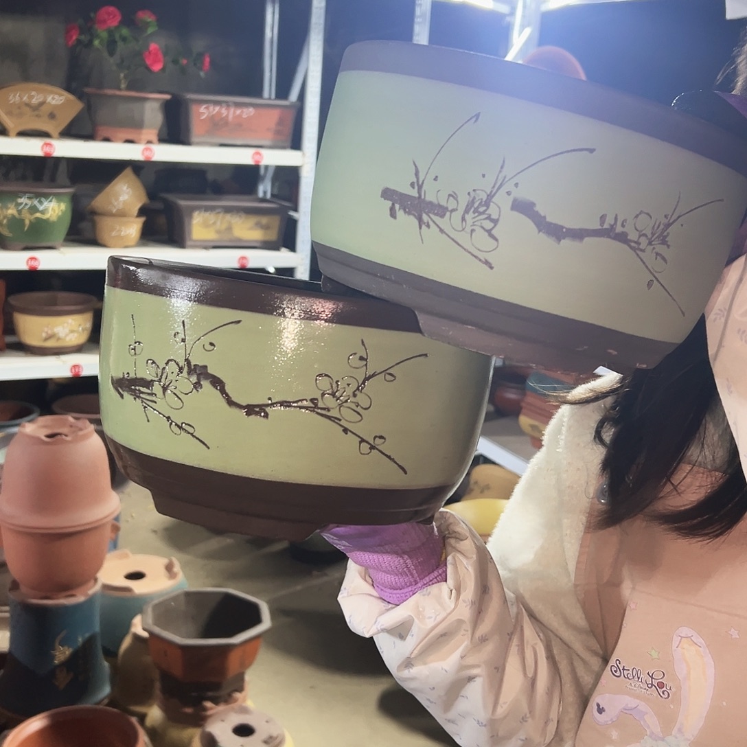 25+25苹果绿萝花盆花盆花盆