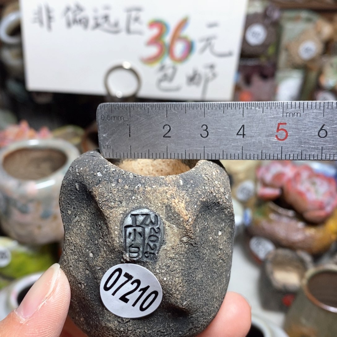 花盆拍3送一个小礼物