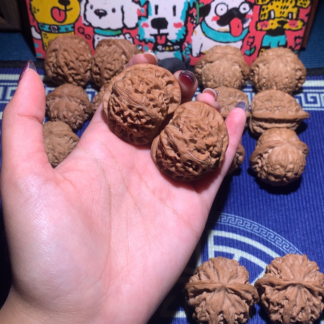 42宫灯502 11111111