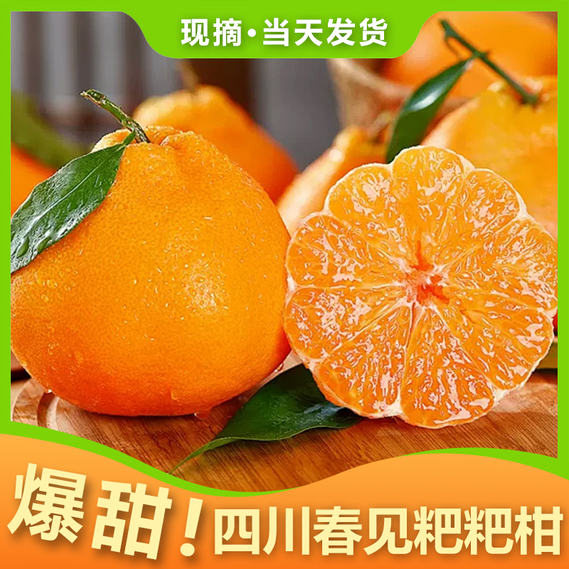 四川正宗耙耙柑当季爆汁爆甜新鲜现采现摘产地直发