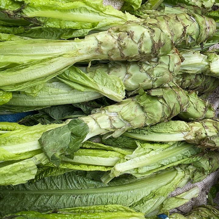 中国大陆青心莴笋五斤