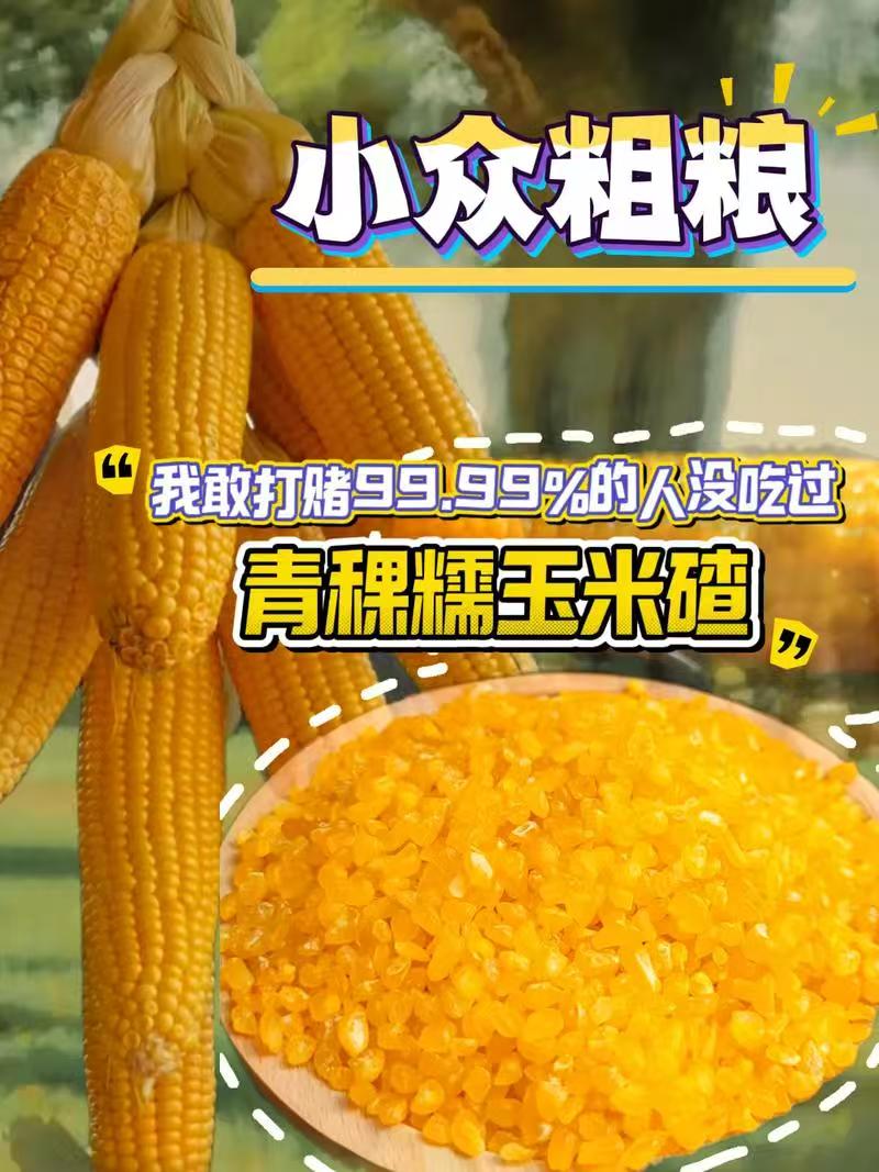 2025年东北黄金新鲜糯玉米碴子