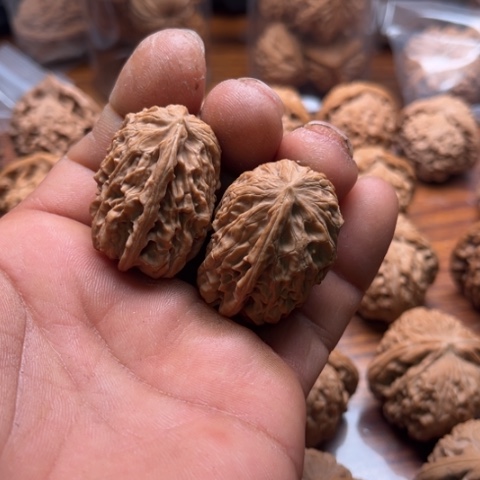 文玩核桃把件宫灯一帆风顺