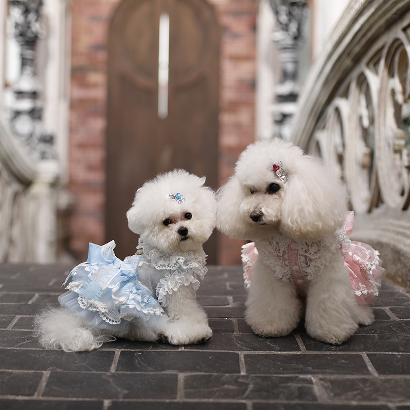 私宠手作春夏宠物爱心裙狗狗衣服泰迪比熊博美薄款公主裙猫咪裙子
