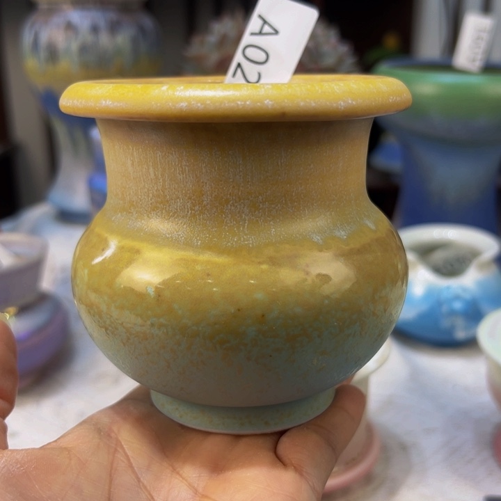 景德镇瓷器研究协会