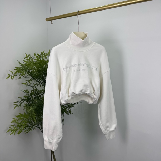 99新  Alexander Wang 亚历山大王 刺绣短款卫衣 S码/98新/无配件