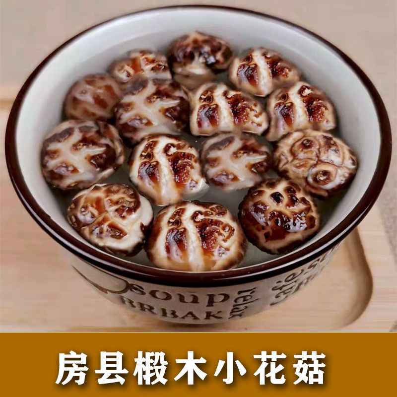 湖北房县高山土特产椴木小花菇
