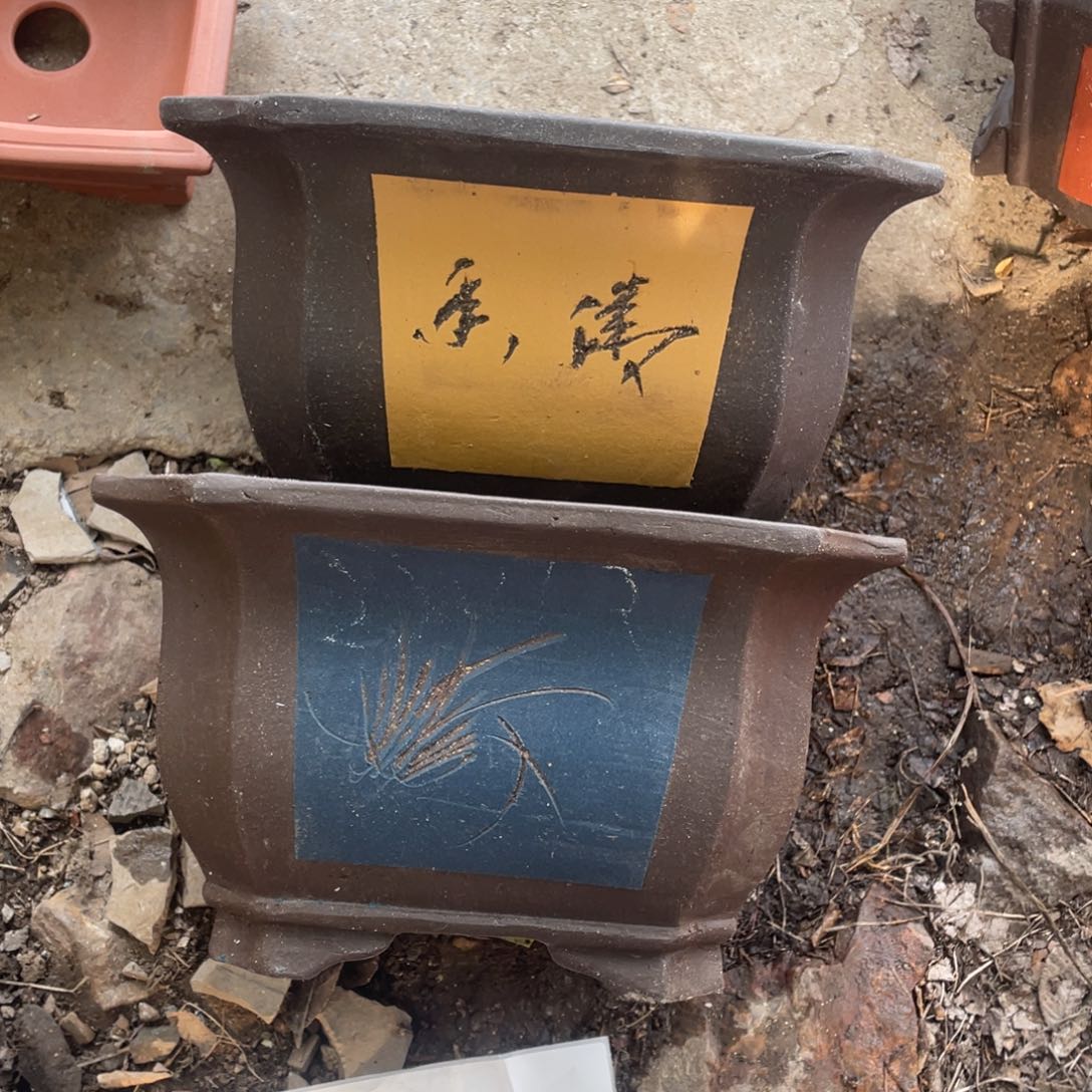 紫砂花盆花盆花盆花盆