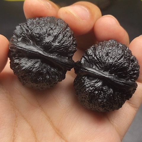 文玩核桃把件38尺铁狮子