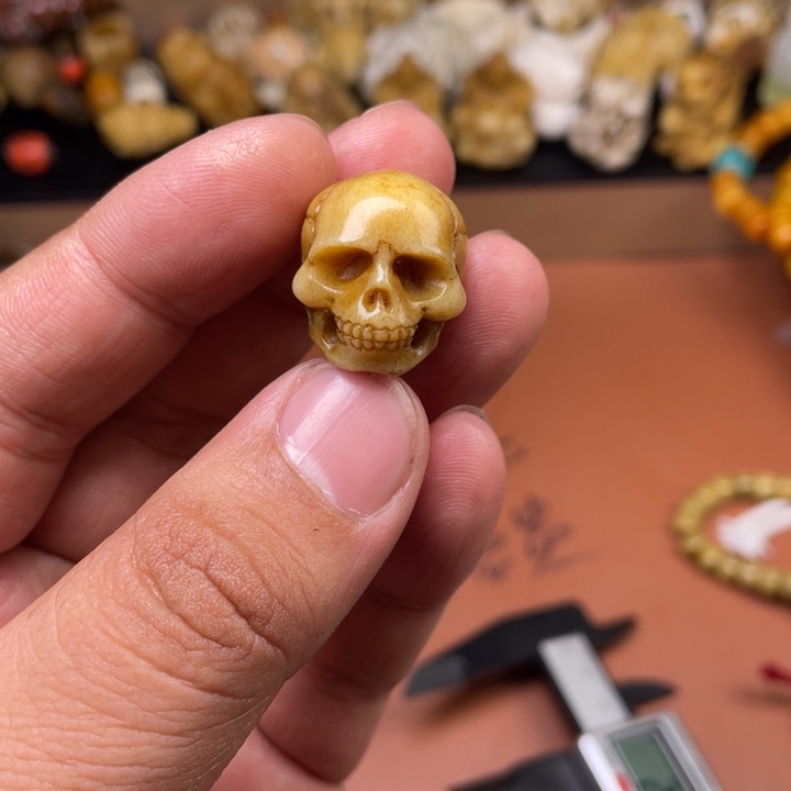 驼骨摆件人工养殖
