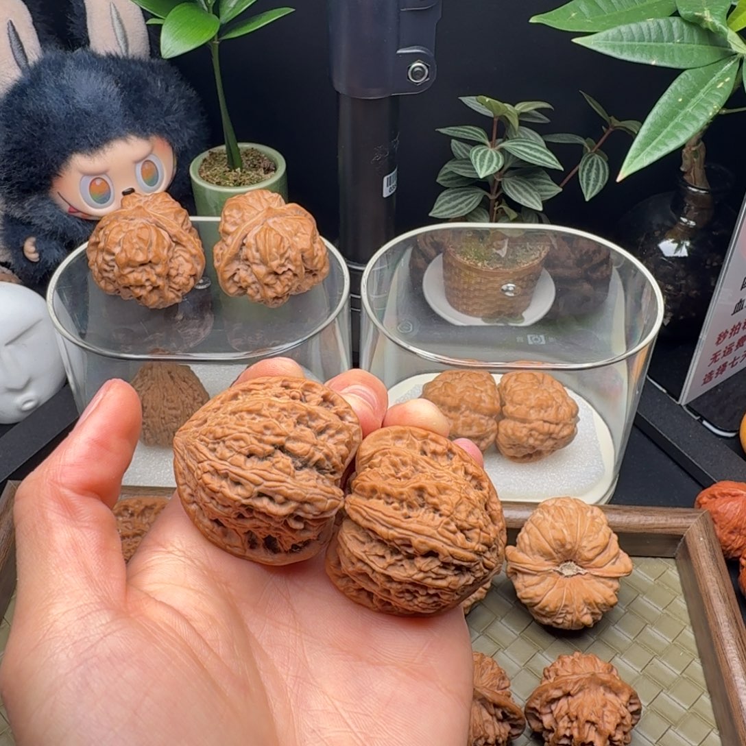 阿***事吊坠龙脊菩提全品承德密纹39
