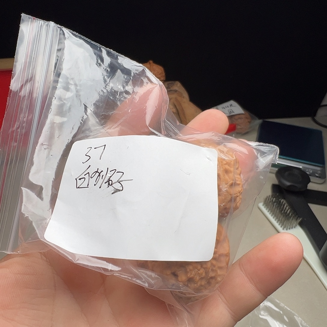 吊坠文玩核桃白狮子