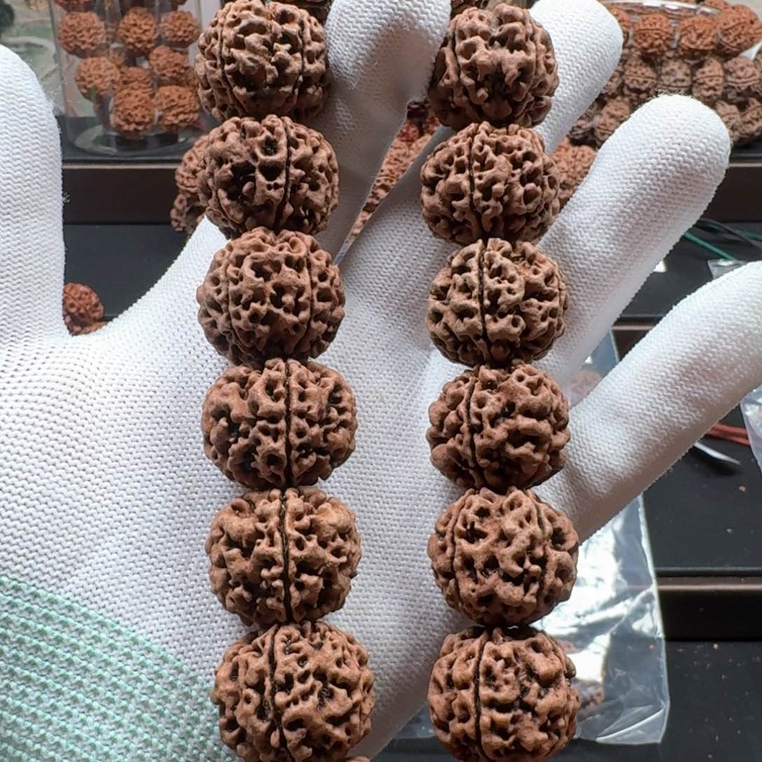 金刚菩提手串22蜂窝双龙208号