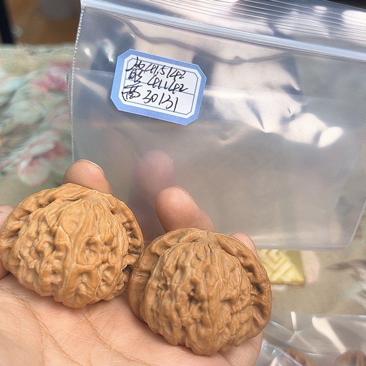 文玩核桃把件白狮子