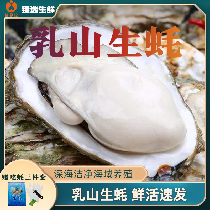 【还没开价正宗精品乳山生蚝】7两-1斤帝王蚝 买5斤送2斤共7斤鲜活
