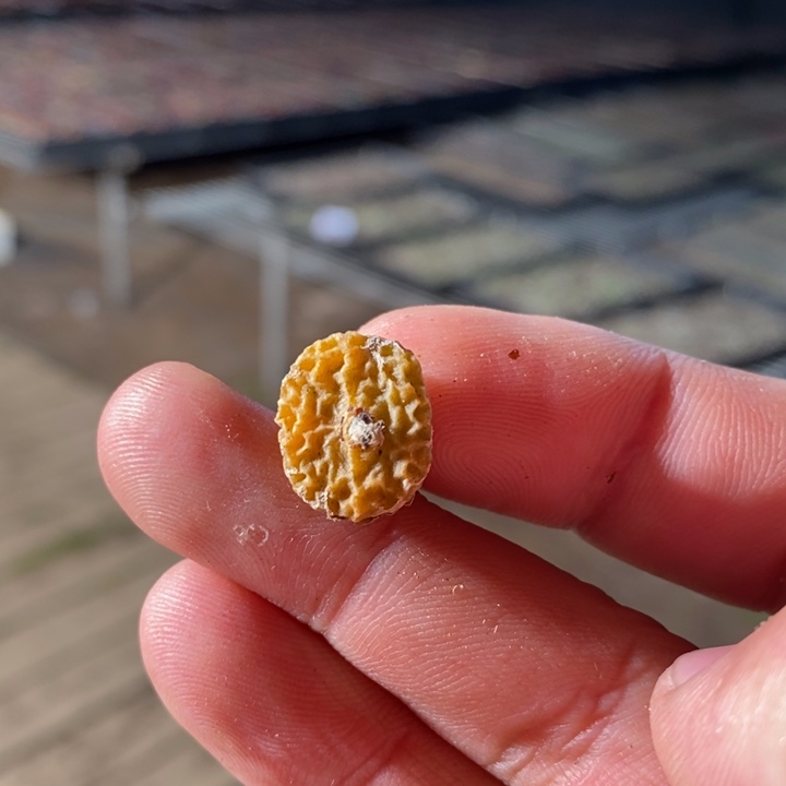 7118一个一个一个