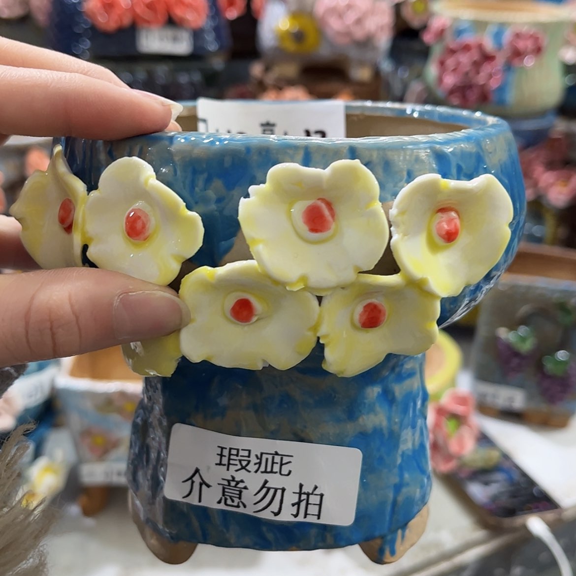 【闪购商品】红陶福利