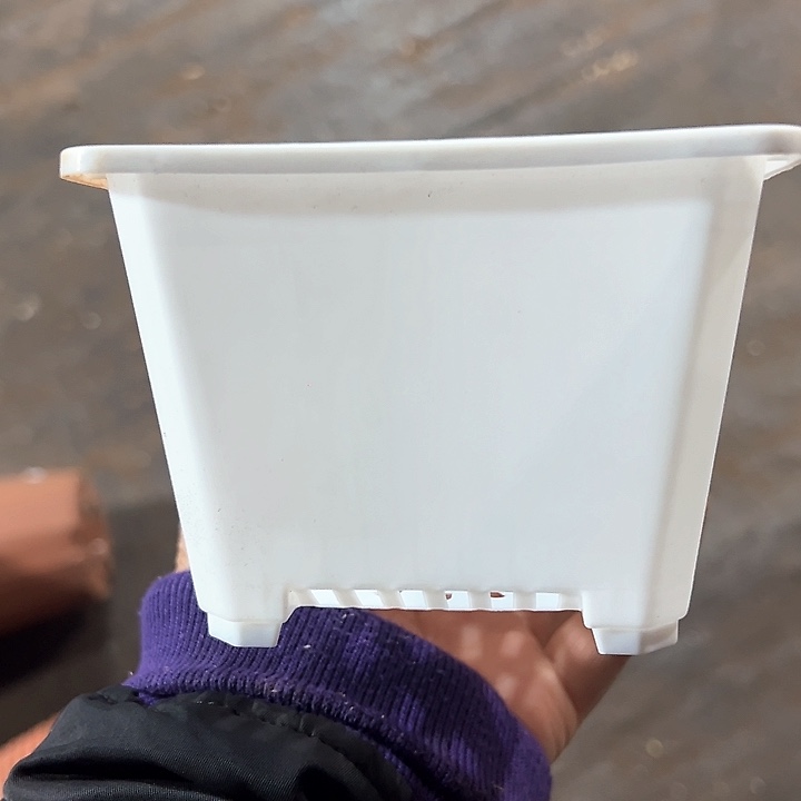 塑料口径11.5高度8.5白方一组35个