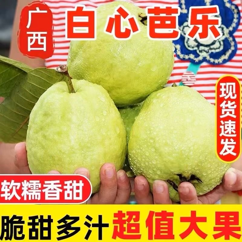正宗广西白心芭乐清脆番石榴新鲜当季孕妇水果整箱批发