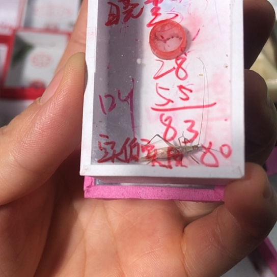 晓***董蟋蟀111111111111111111111