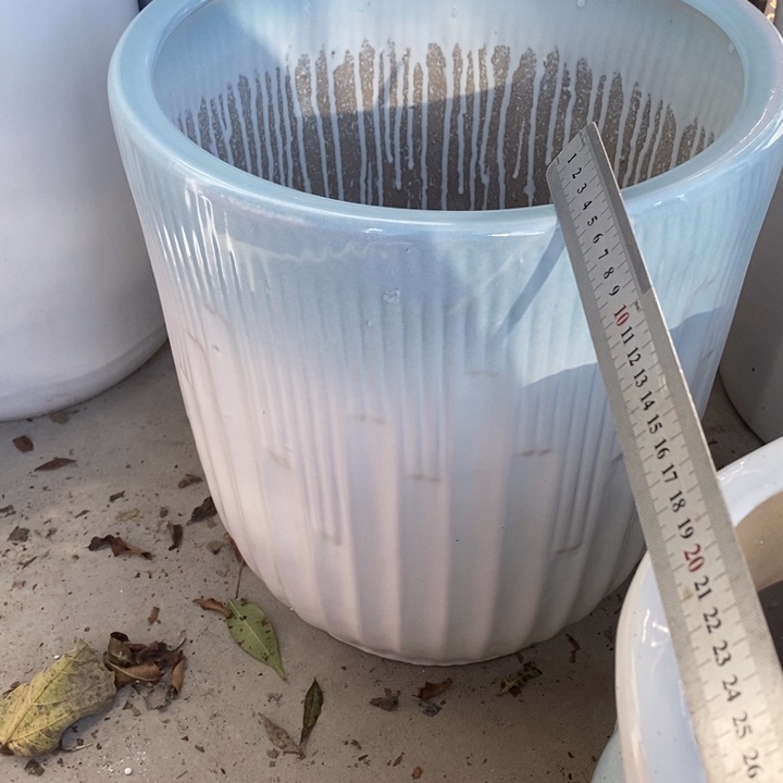 低腰渐变蓝钢琴大号口33/36