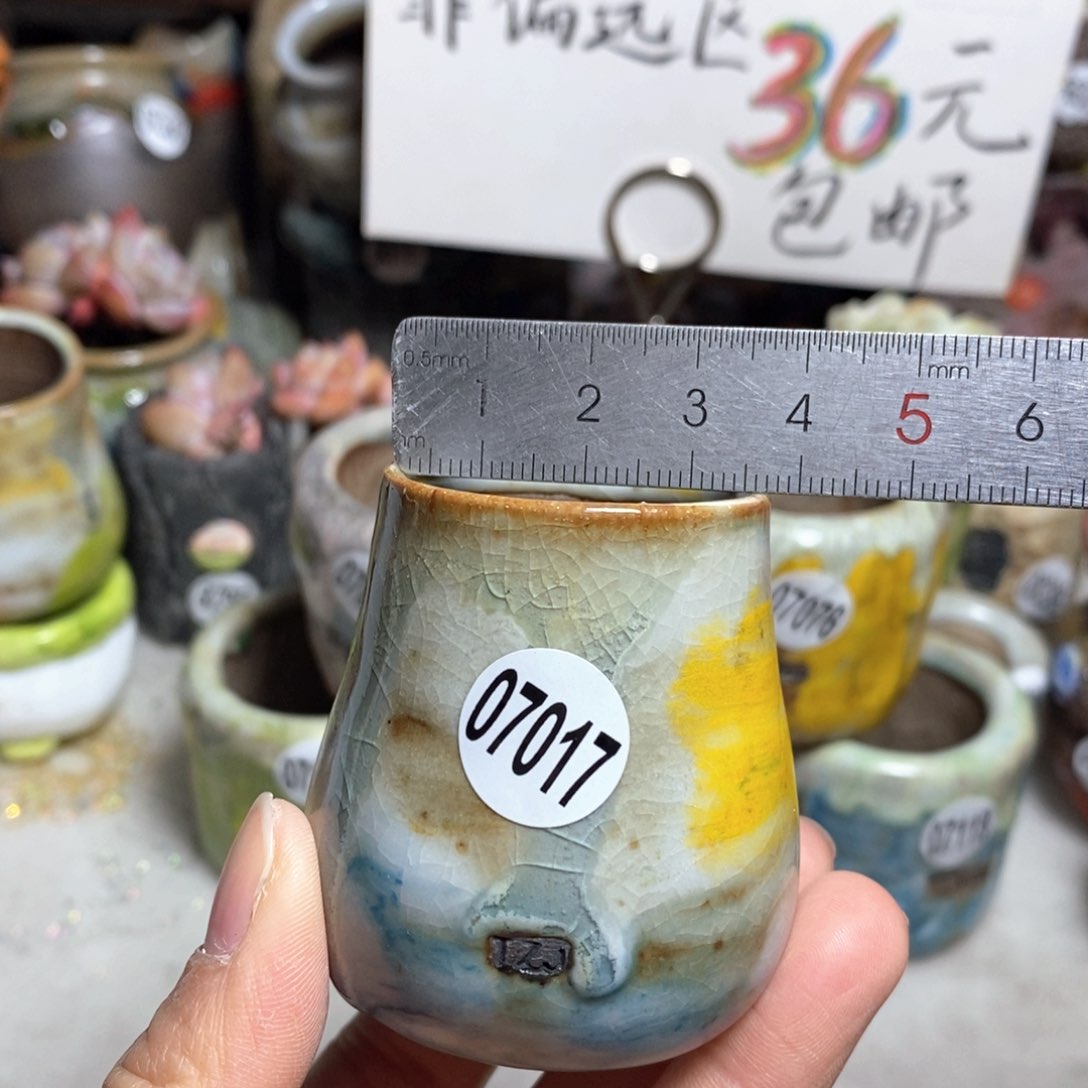 花盆拍5送一个小礼物