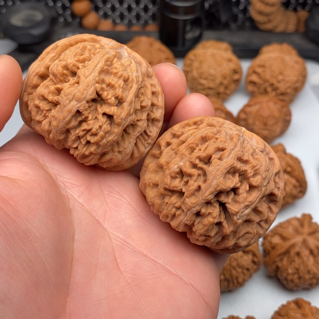 文玩核桃把件47.5粗筋