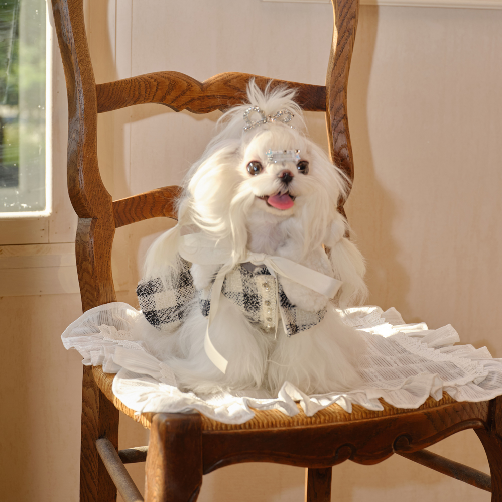 秋冬宠物小香风套装狗狗公主裙时尚可爱约克夏