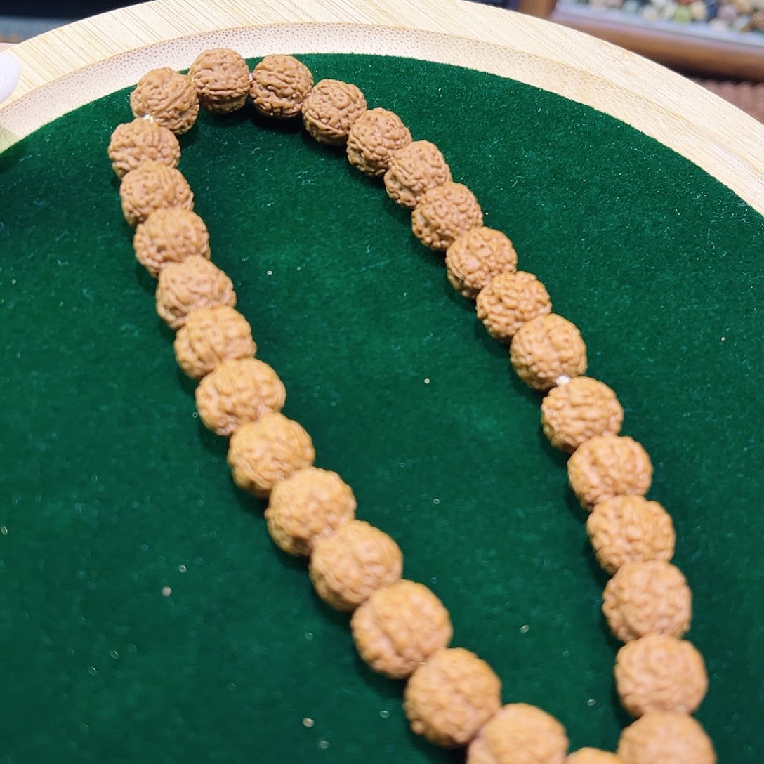 金刚菩提手串老树双龙梅花单圈10