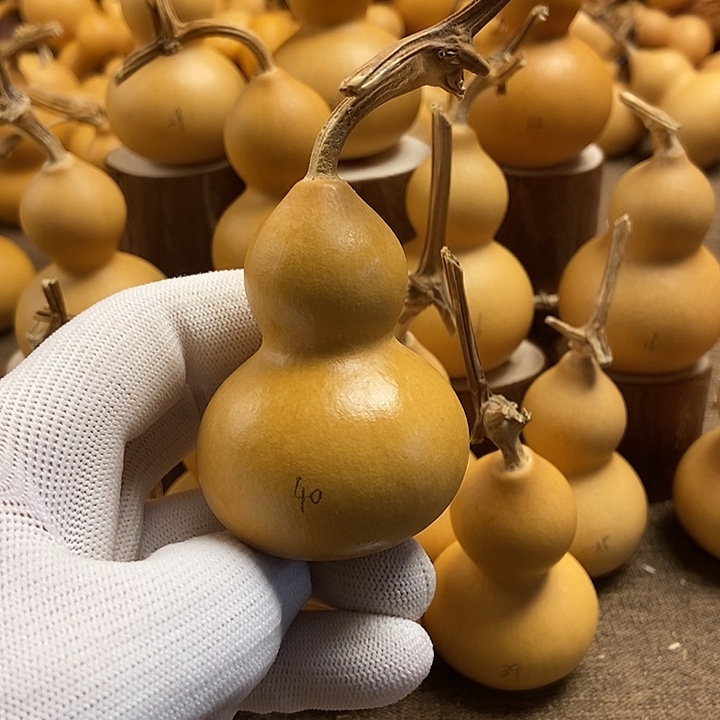 文玩葫芦 完美主义者 慎拍40