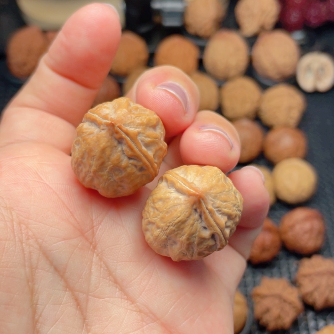 【闪购商品】把件文玩核桃小龙珠
