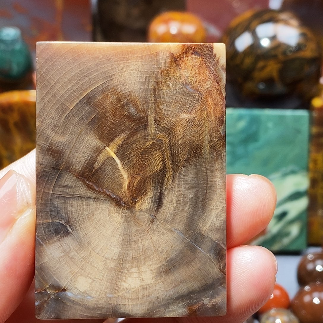 硅化玉天然北票硅化玉原石未镶嵌