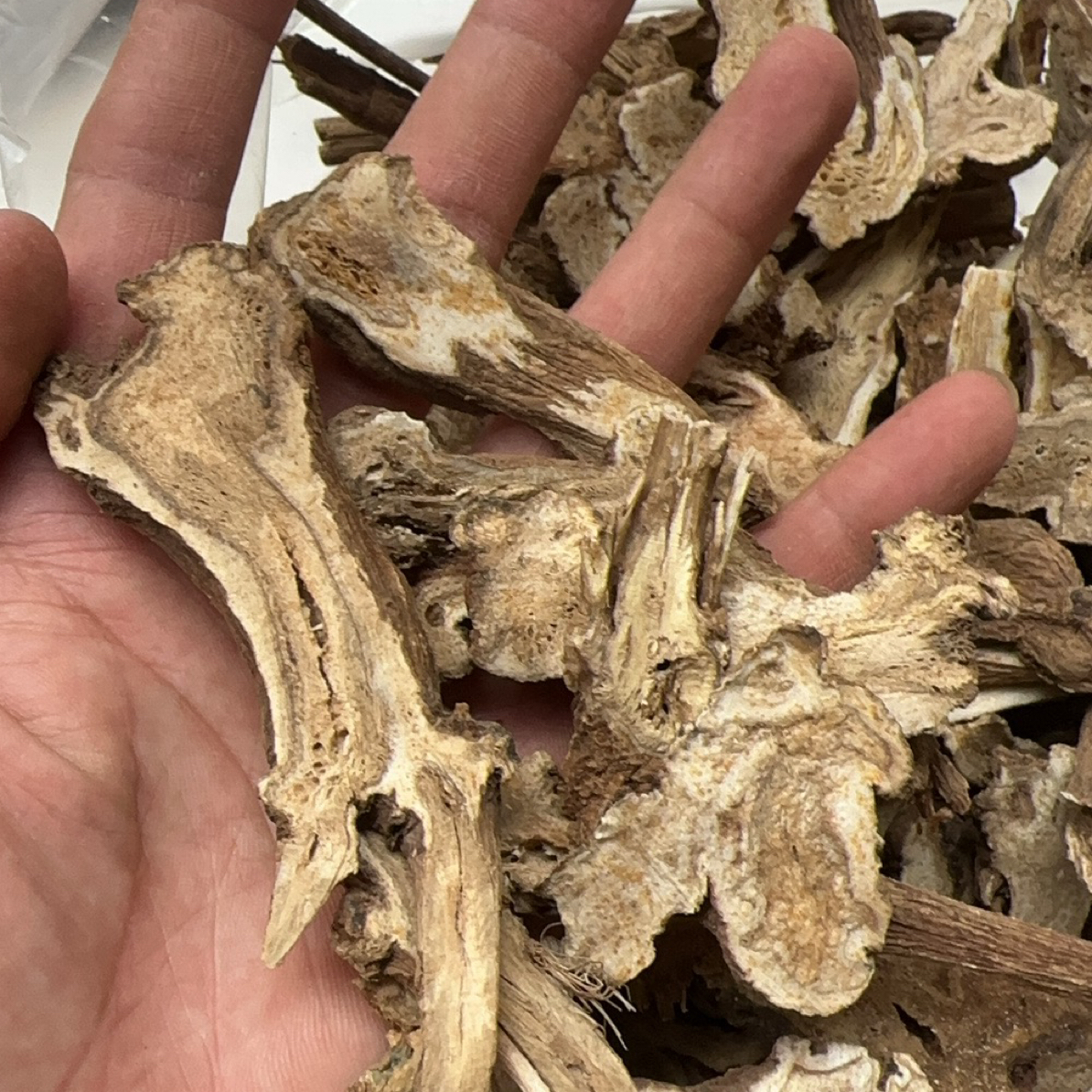 贵州特产山货白术干货无硫500克包邮