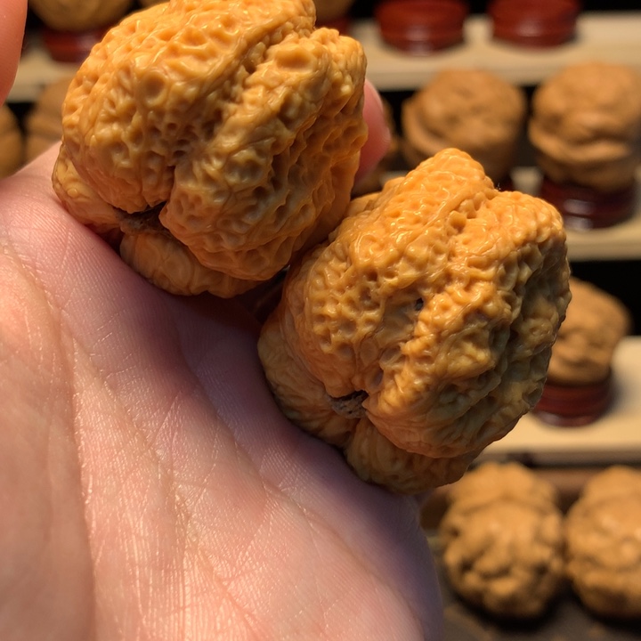 文玩核桃把件43龙脊蟾王