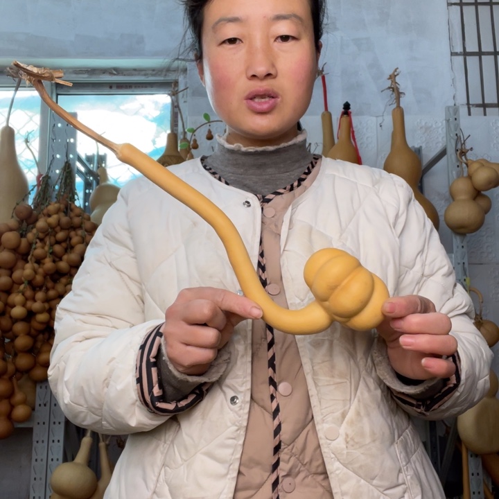 糖***糖天然植物葫芦文玩