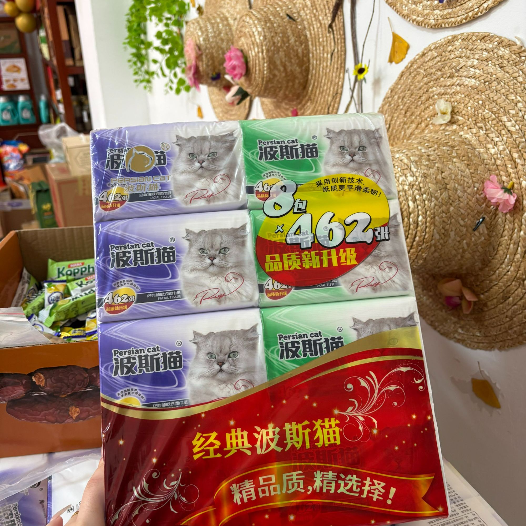福顺来精选波斯猫纸巾