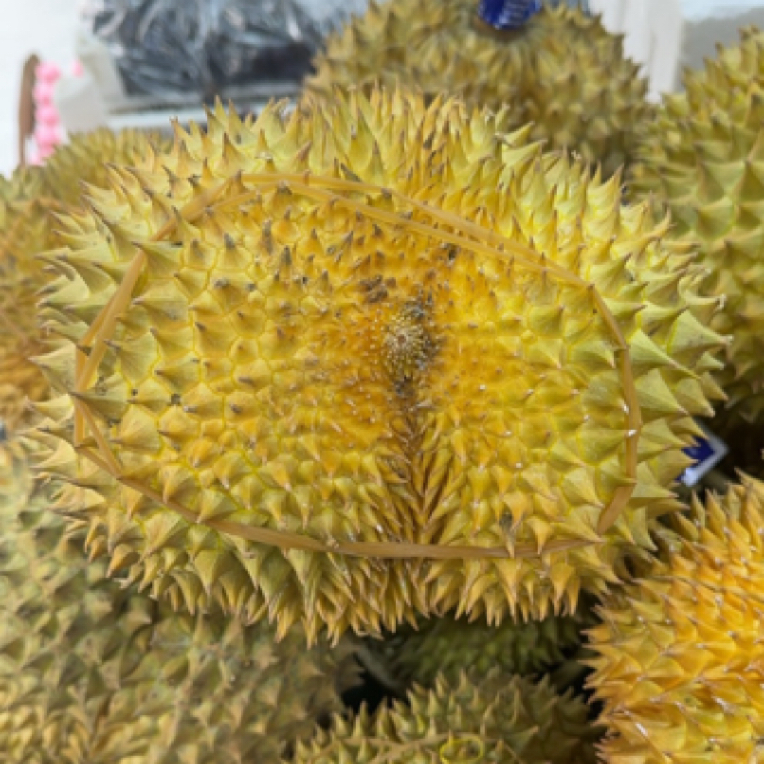 (新鲜金枕榴莲)一物一拍 甜糯可口 3-8斤 核小金枕榴莲同城送（拍下默认拨盒）榴莲同城配金枕国外