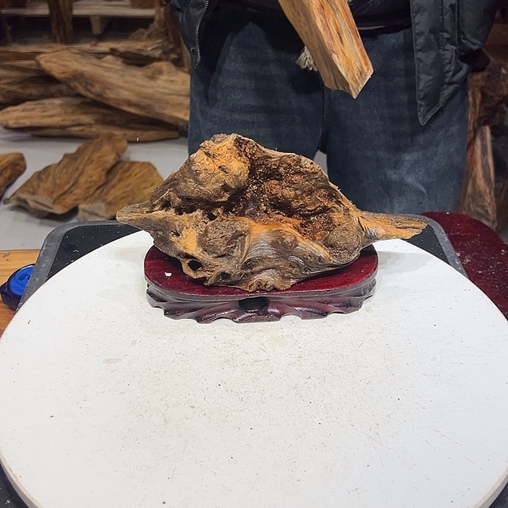 松木（琥珀木）乐*