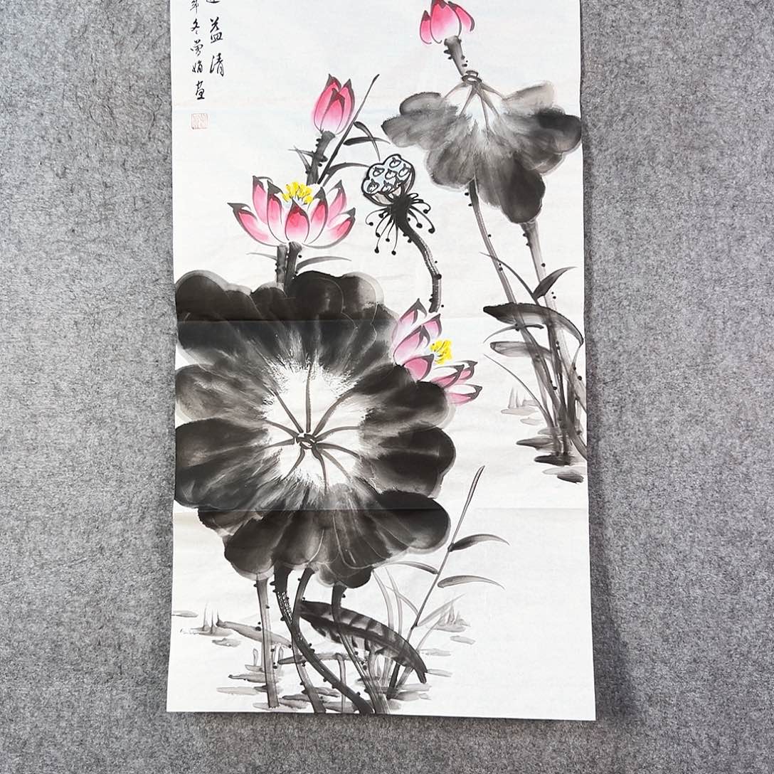 国画213 牡丹花等经济植物资源