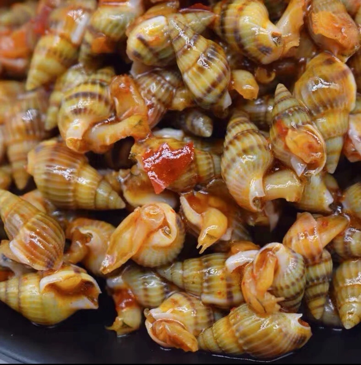 辣炒海锥海螺丝200g*2罐/4罐顺丰包邮冷冻即食鲜活制作下酒神器