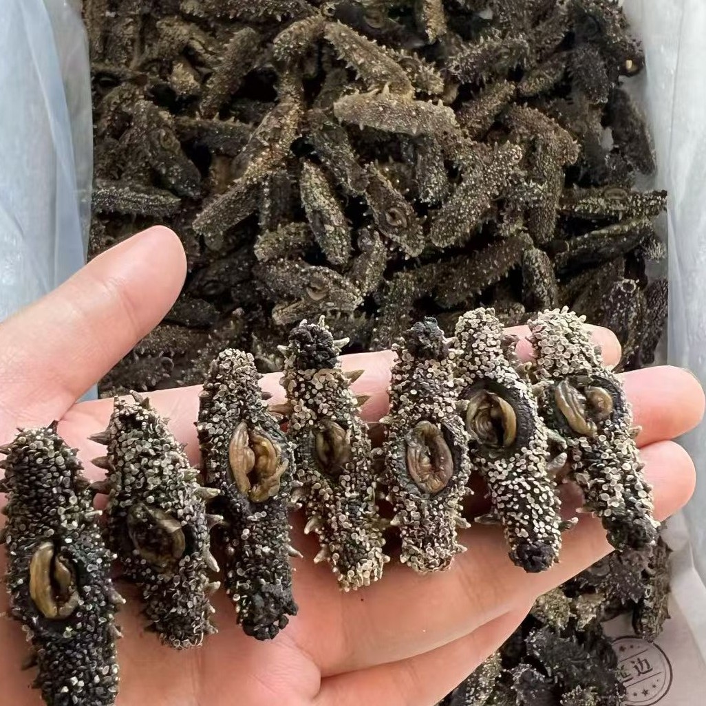 大连国标辽刺参 日晒干海参 底播纯淡干海参