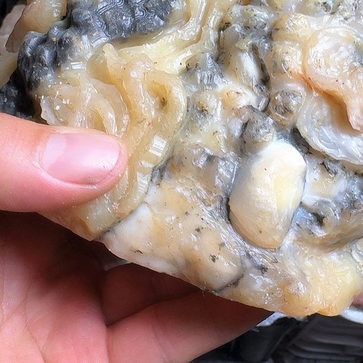 屿***北寿山石寿山石的种类