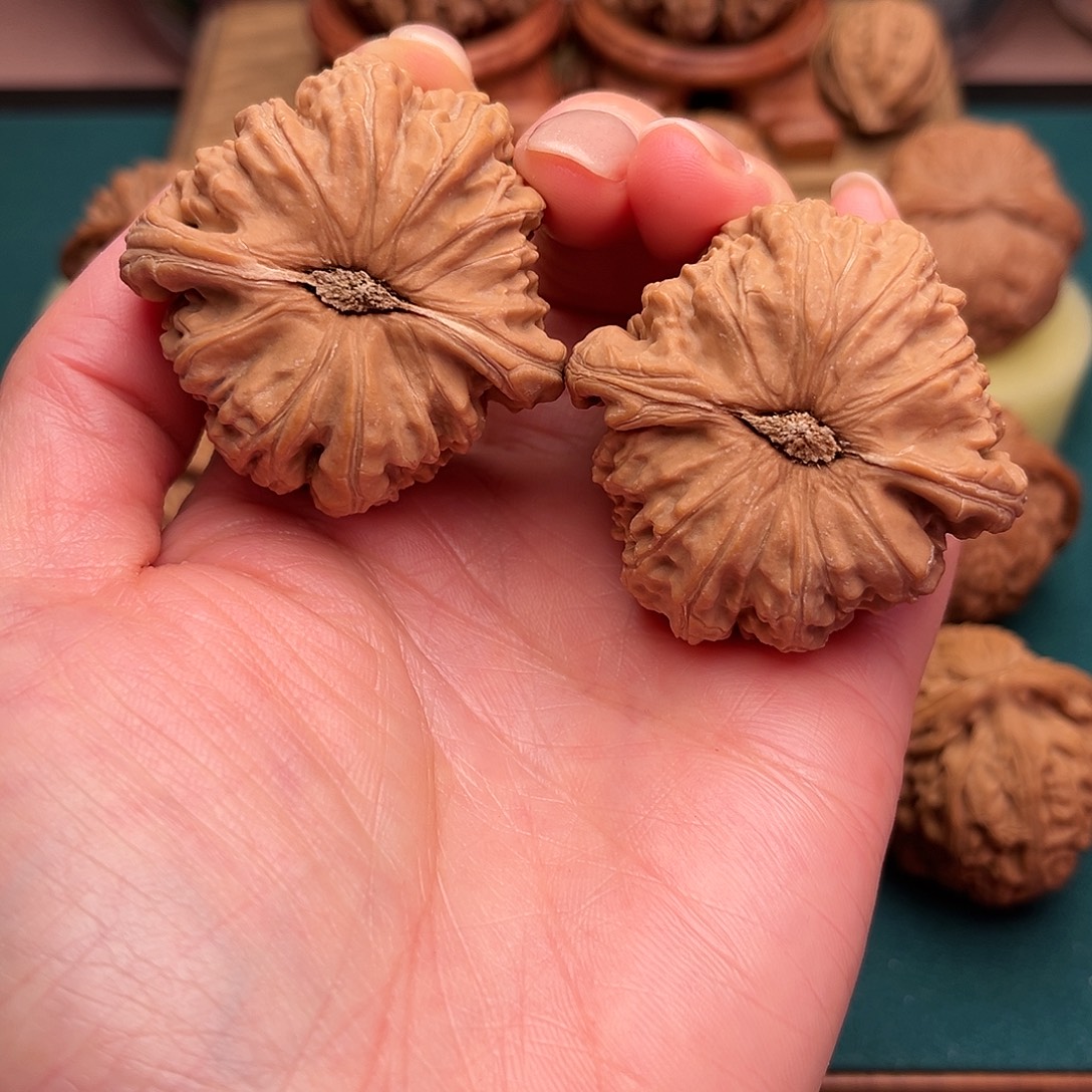 把件文玩核桃白狮子